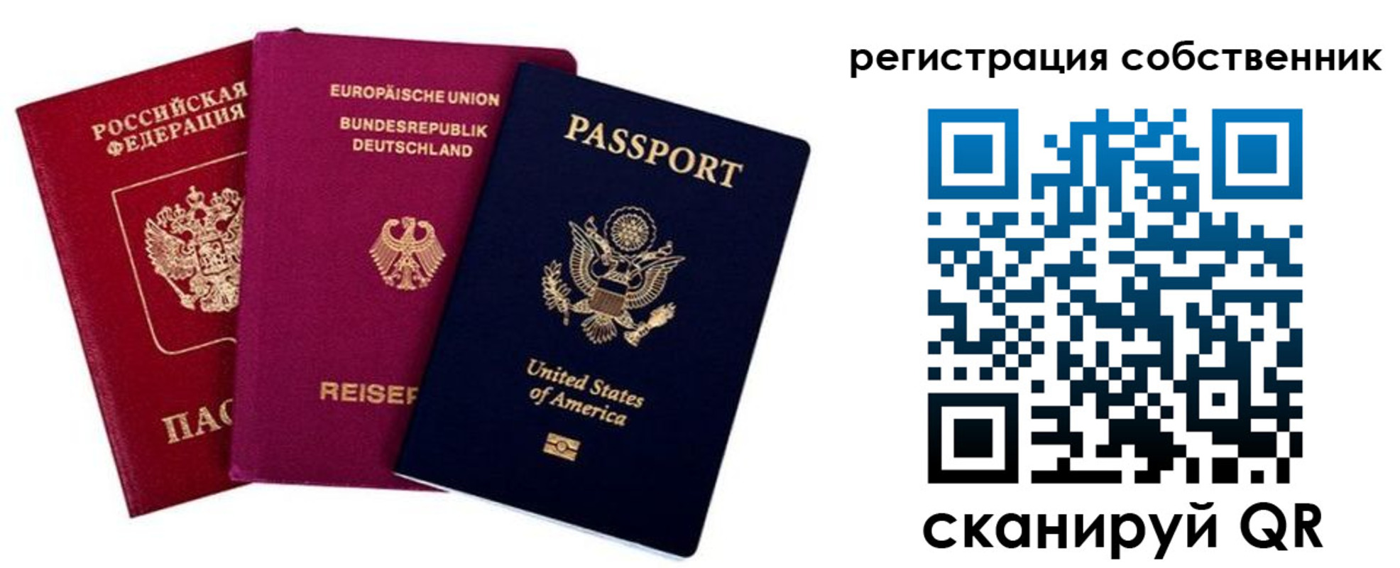 прописка гарантия в Кировске